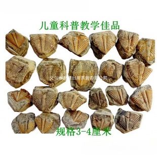65�̌W��ʯ26�^�pʯβ�Ϳ����dȤ��ͯ覴���Ȼ��ʯ�ջ�ʯ���~�x