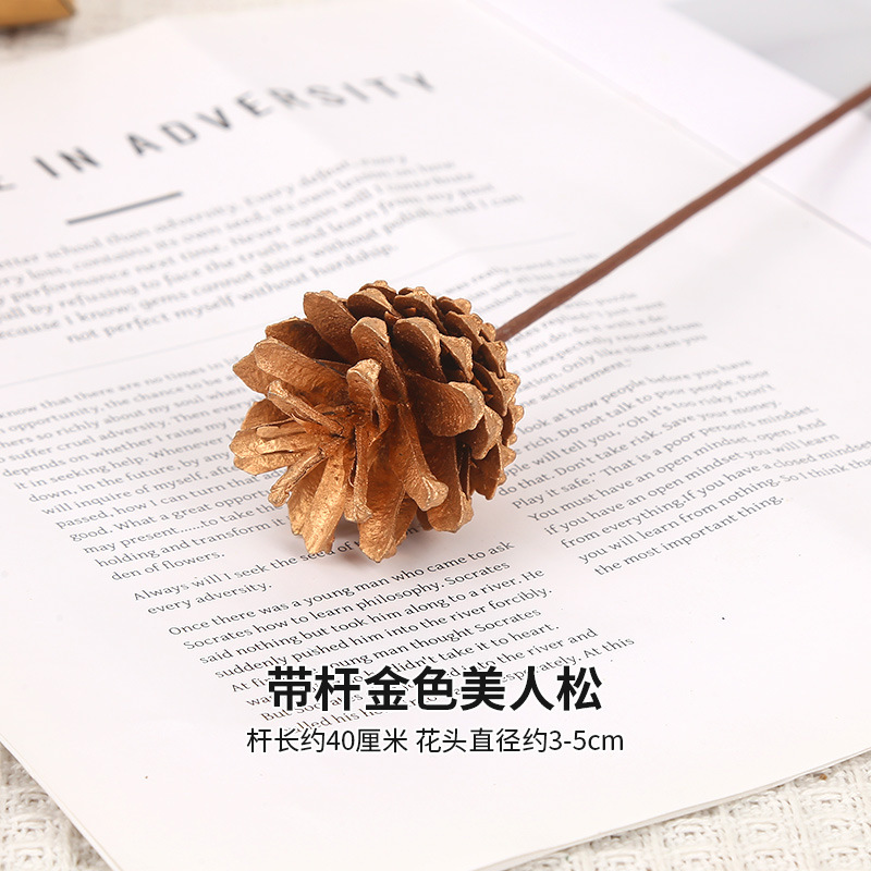 막대가 있는 황금빛 아름다움 소나무