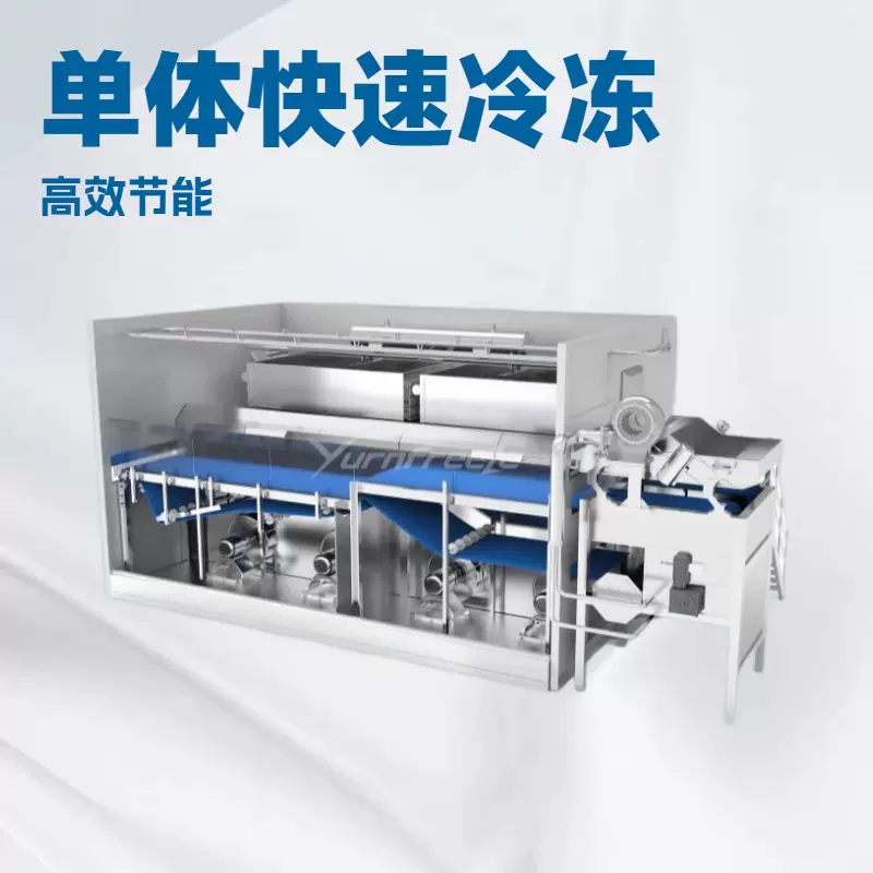 IQF流态化速冻机 豌豆玉米草莓速冻设备 果蔬颗粒食品冷冻机厂家