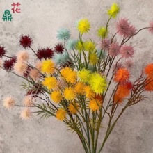 С����� ��đ���^�ѹ�Ӣ���滨 ��Y��c��@�L���С������l