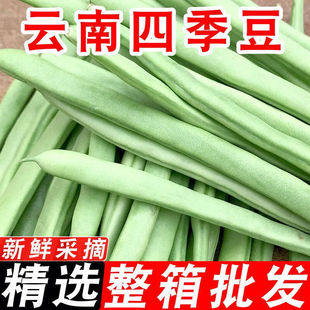 �Fժ�F�l���r�ļ����������r�r���߲˕r���߲��ļ�������ܿ�����]