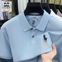 �羳polo���������ļ��¿������������и߼��д��巭�������t��