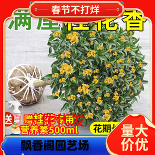 һl𻨘ļԴʳ҃ͥԺ_ͻ