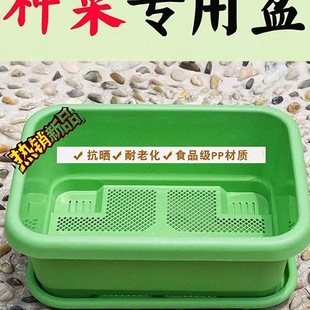 �̨�N����Ӻ��L�����������ͥ�߲˷Nֲ��N�˴�̖���û���