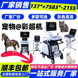 狗狗B超机器批发 兽用小型B超机多少钱-江苏新玛公司批发价格