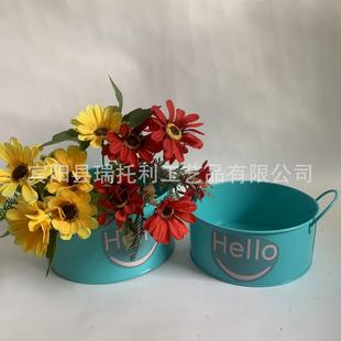 Customized European and American Pastoral Style Iron Handle Smile Sticker Flower Pot Succulent Planting Home Furnishings Decorative Small Flower Bucket