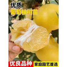 �S���������ֹ���޽�̨���������ش�����箔��Y���ϱ����Nֲ