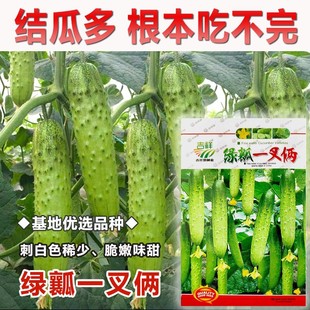 �|�����S�ϷN�� �Gȿˮ���S�� ժ���� �G�� ��ſ��һѾ�zһ��z��