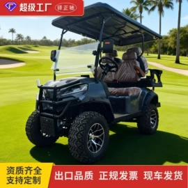 电动观光车;高尔夫球车;其他电动车