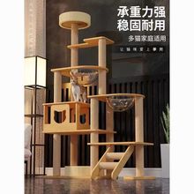 ؈���ܴ�a��Cһ�wץ����œ��A����Ʒ�͘��ݪ���վ�S�ҏS�����l