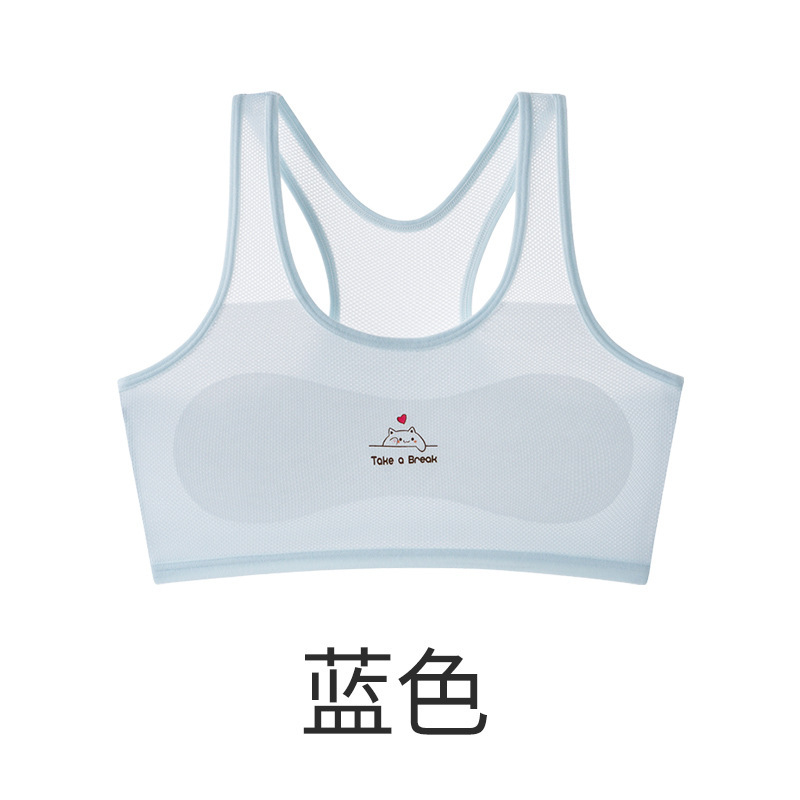 Ropa interior de malla transpirable para niñas, estilo nuevo, para estudiantes de secundaria en su período de desarrollo, chaleco deportivo a prueba de golpes, sujetador de ropa interior para niñas