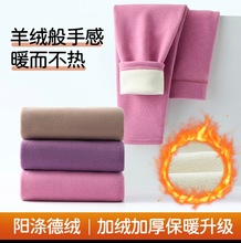 �½q�l�ᱣůѝŮ����ѝ�ӽq�Ӻ�������q���ѝ�����o����ëѝ