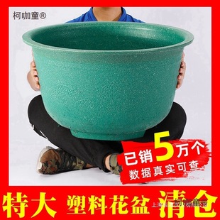 ����N�����̖�F��������ϴ����ش���l��Ӻ�ͥԺ���]��̫��