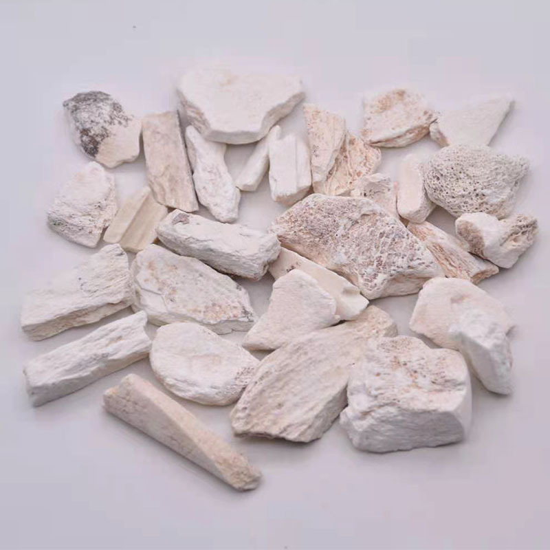 Dried Dragon Bone Long Gu 土龙骨 Traditional TCM Mineral Herb 500g Bag specifications