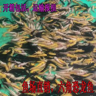 �^�p�~�ɐۻ��wҹ�к��B������������С�~�[�����������ˮϔ�