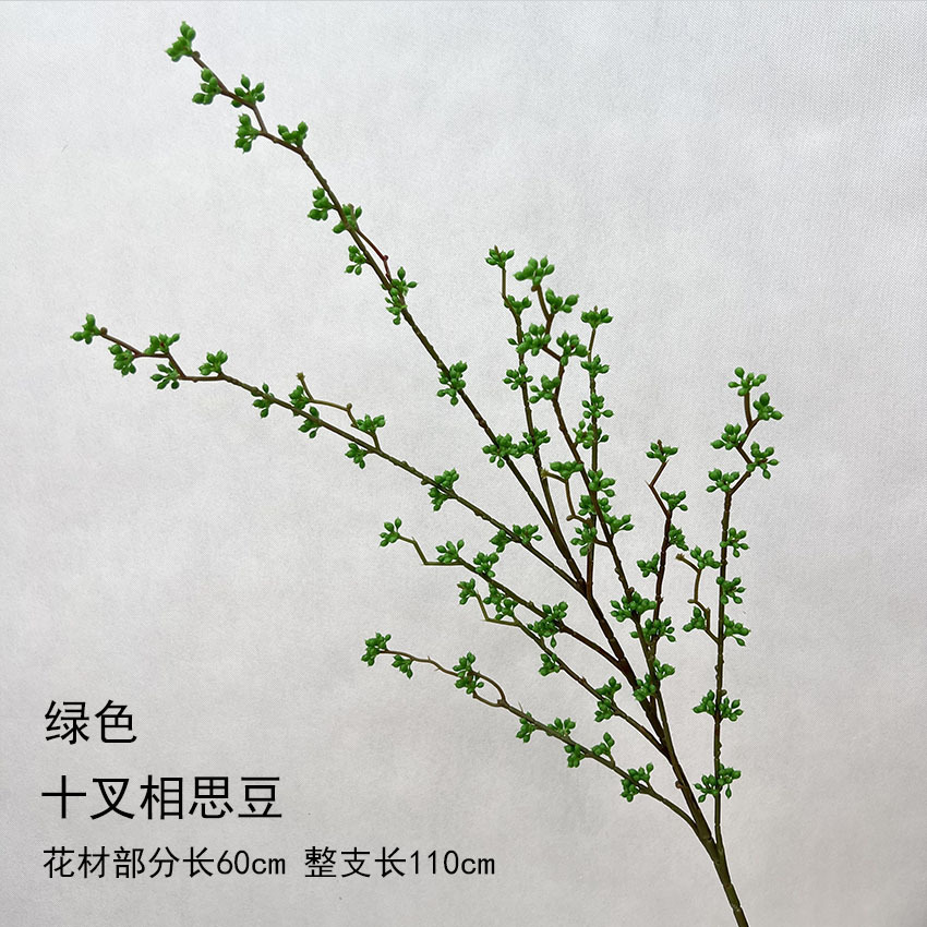 Diez tenedores de frijoles de acacia - verde