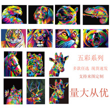 �S�����l40*50 DIY �����ͮ� ��ʄ���ϵ�мҾ����L�b�