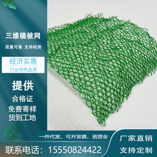 三维植被网 绿色塑料EM3 EM5 植草护坡土工网垫