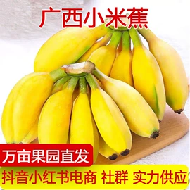柑桔;其他水果;梨