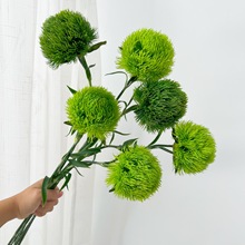 ��ʯ����滨С������ë��ҾӲ����ڼ����Բ廨��װ�쾰��ֲ����