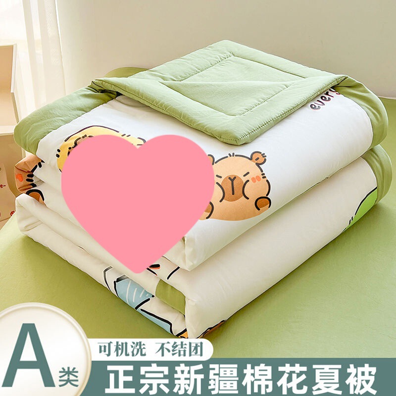 Hondou Home Textiles 新しいタイプ A 洗浄綿サマーキルト純粋な新疆綿キルトプリントサマークールキルトエアコンキルト薄いキルト|undefined