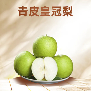 ���ڻʹ���Ƥ�������r10�ﮔ���Xɽ������ѩ��Xɽ����������