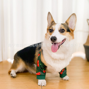 �����o��»��P�����o�׷������K�o�������oϥ���o�׿羳����