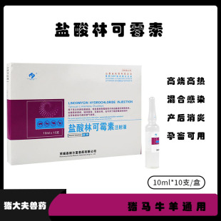 �F���}���ֿ�ù��ע��Һ�Fș�iţ����Ȯ؈����֧ԭ�w������Ʒ10ml
