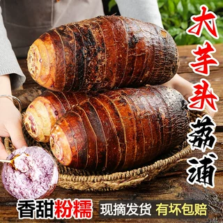 正宗广西荔浦芋头9斤蔬菜特大槟榔芋香芋毛芋种植基地新鲜采挖发