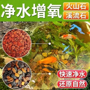 [No-Wash Bottom Sand] Volcanic Stone Stream Stone Fish Tank Decoration Native Aquarium Package Bottom Particles Landscaping Water Purification