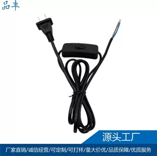 国标二插线上控制开关电源线 裸线尾落地灯工艺灯批量装配电源线