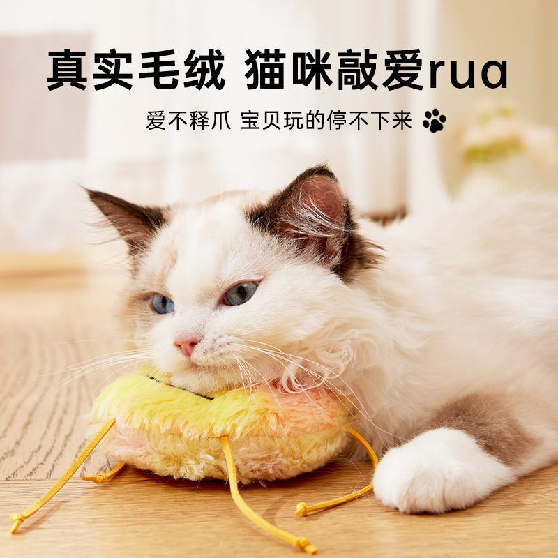 Juguetes de gato El artefacto de gato divertido puede sonar y ser resistente a morder