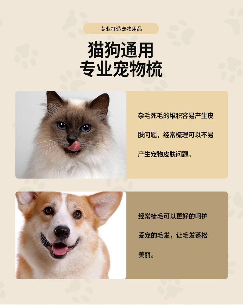 未标题-1-拷贝_07.jpg