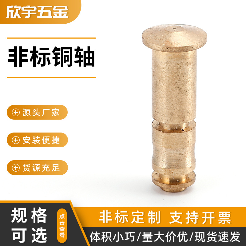 不锈钢铝合金黄铜紫铜轴 光轴走心机五金零件车床