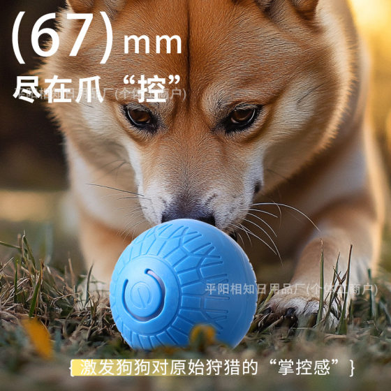 Cross-border Explosions Automatic Cat Ball Self-relief Artifact Jumping Ball Rolling Ball Cat Toy Ball Pet Supplies