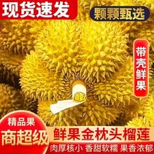 越南金枕新鲜越南树熟5-8斤榴莲干包核小新鲜整果