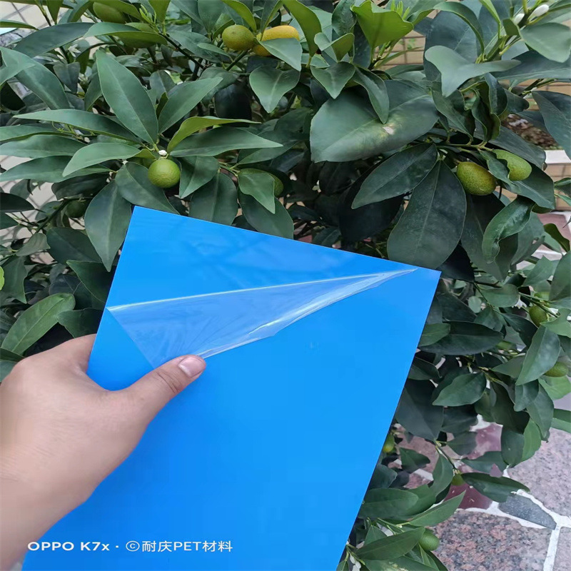 出厂吸塑pet片材|折盒用pet片材|pet印刷片窗口pet片材 可分切