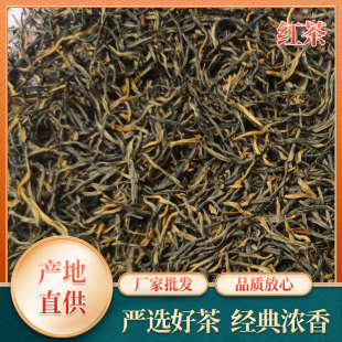 �S�ҹ�������������ѿ�t 2025��F؛���l���~���������~