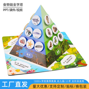 diy�Ƽ�С�����ƌW���ʳ��朽����� ��ͯ�ֹ��W��������ϰ����b