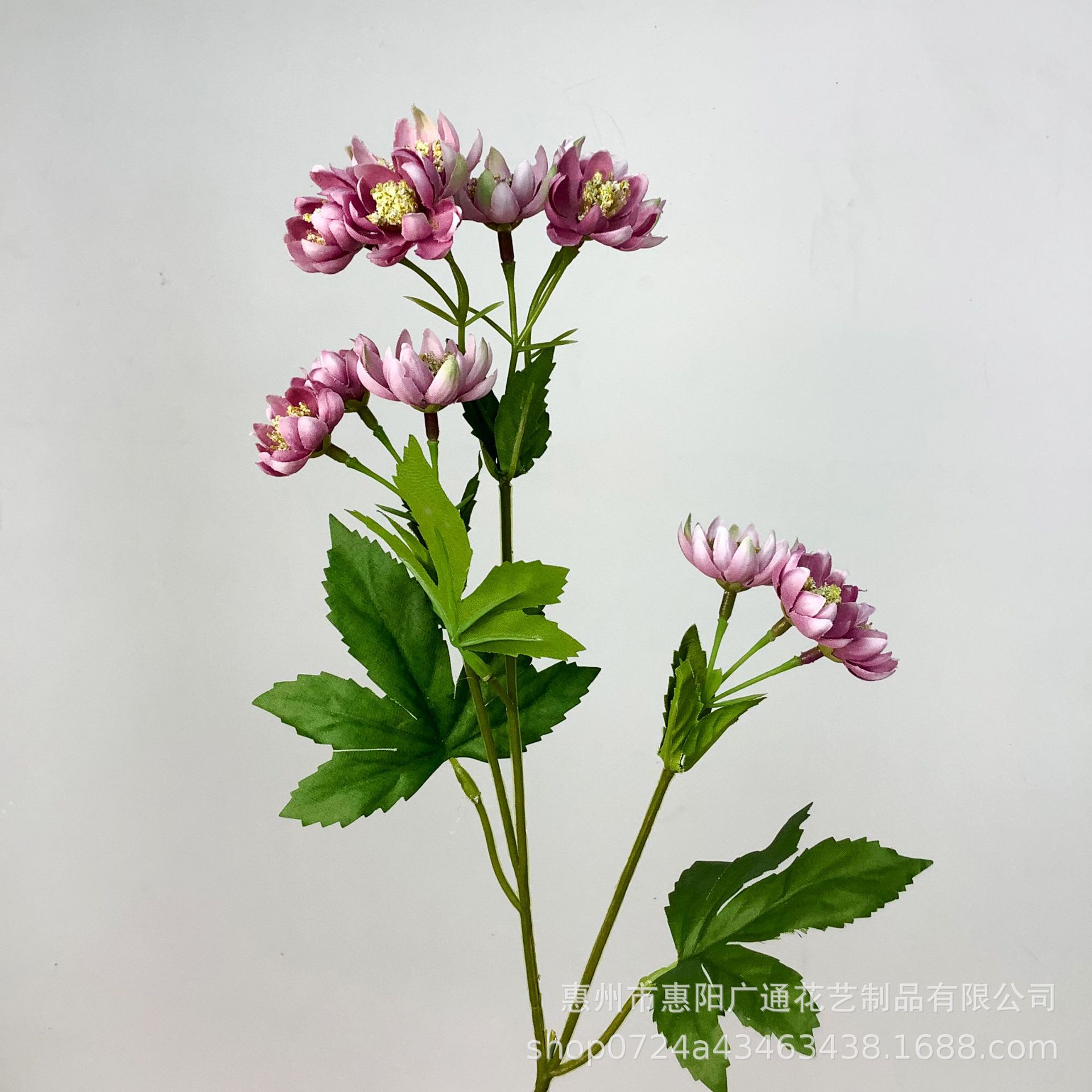 분홍색 보라색