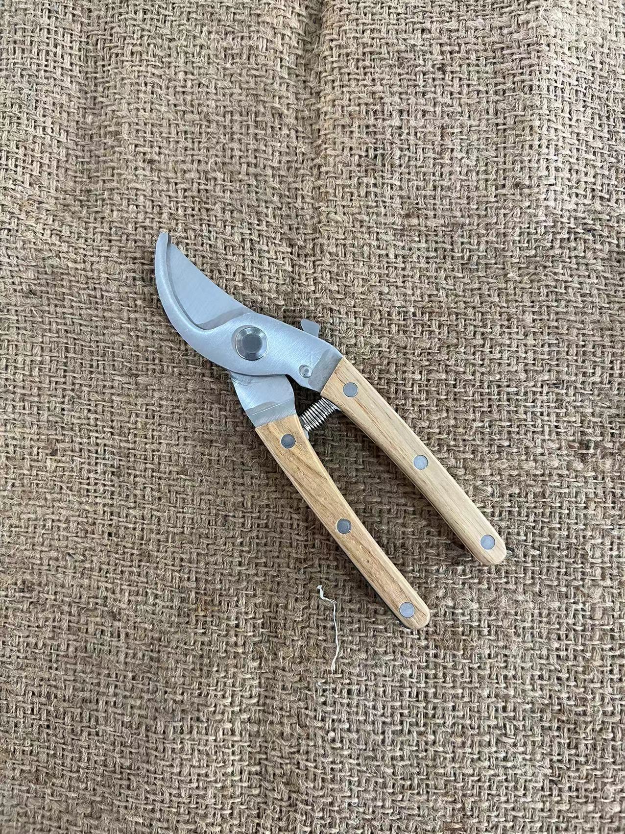 微信图片_20230628101403