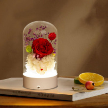 滨[˹նY߼СҹõɻYп羳