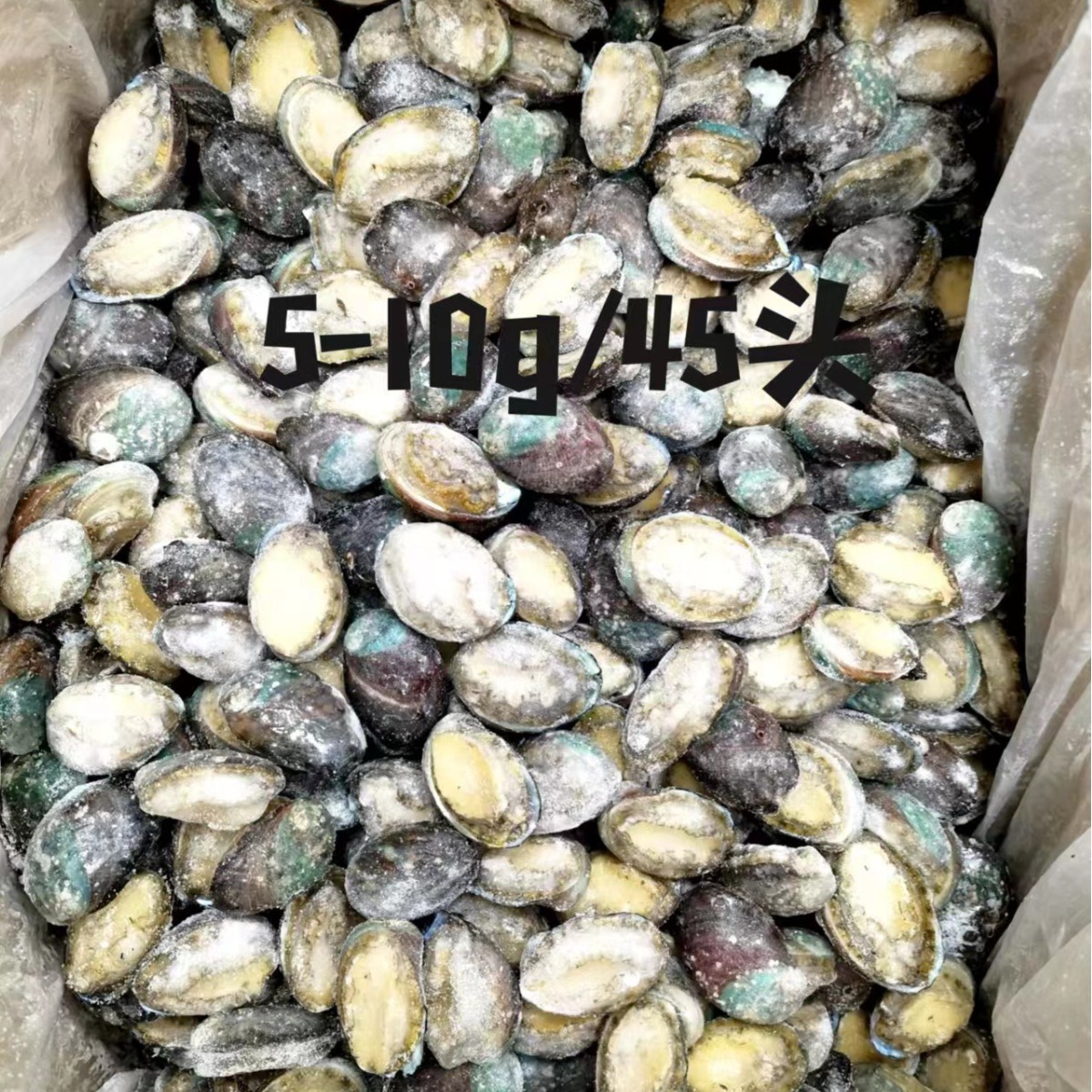 2023-12-22 11:28:59.jpg