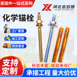 化学锚栓药剂幕墙定型锚栓高强度倒锥锚栓药剂膨胀螺栓厂家批发