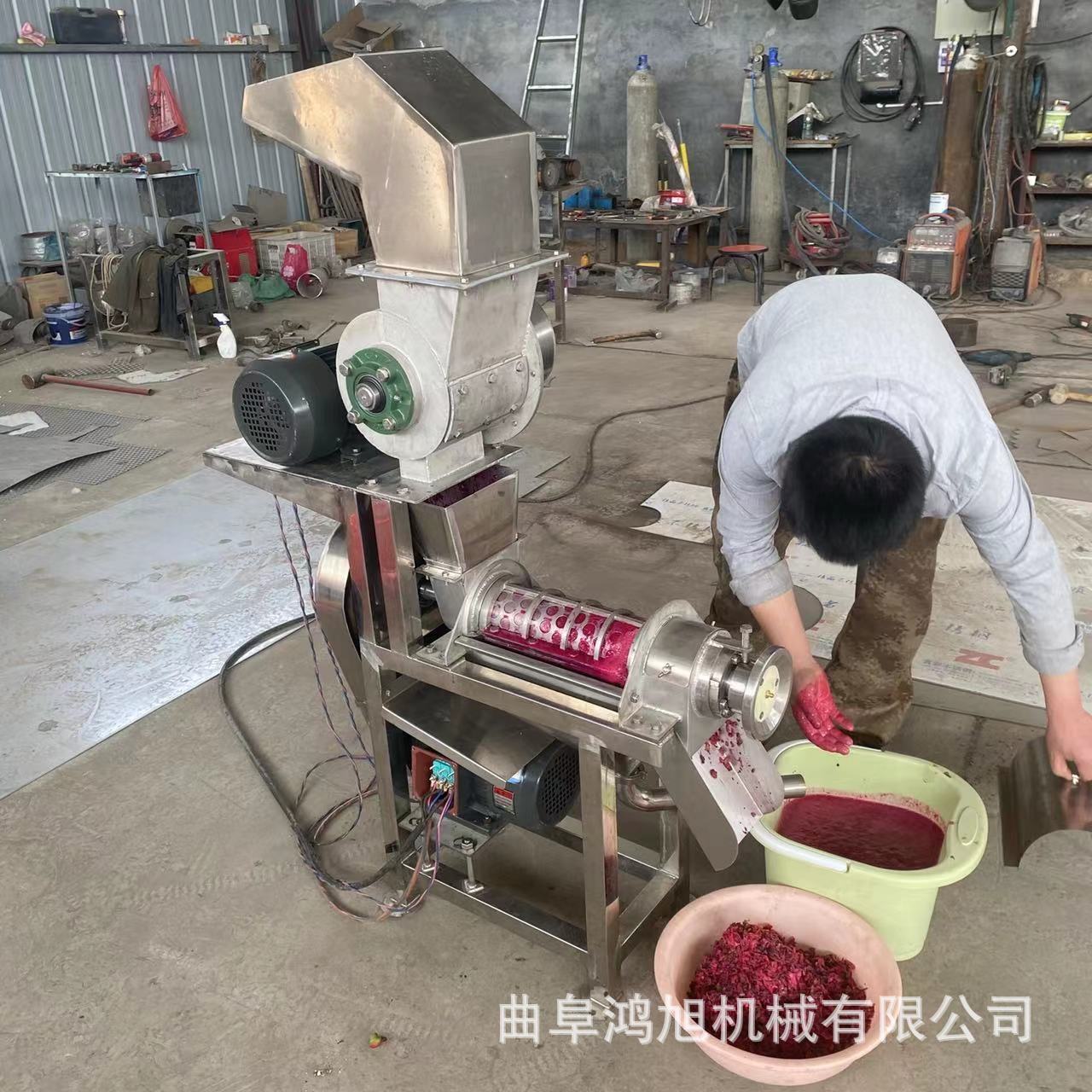 大型葱头螺旋榨汁机 商用无籽葡萄打汁设备 0.5吨去核荔枝挤汁机