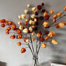 \滨ĭcWinsWt廨Ҿb\ľ޹