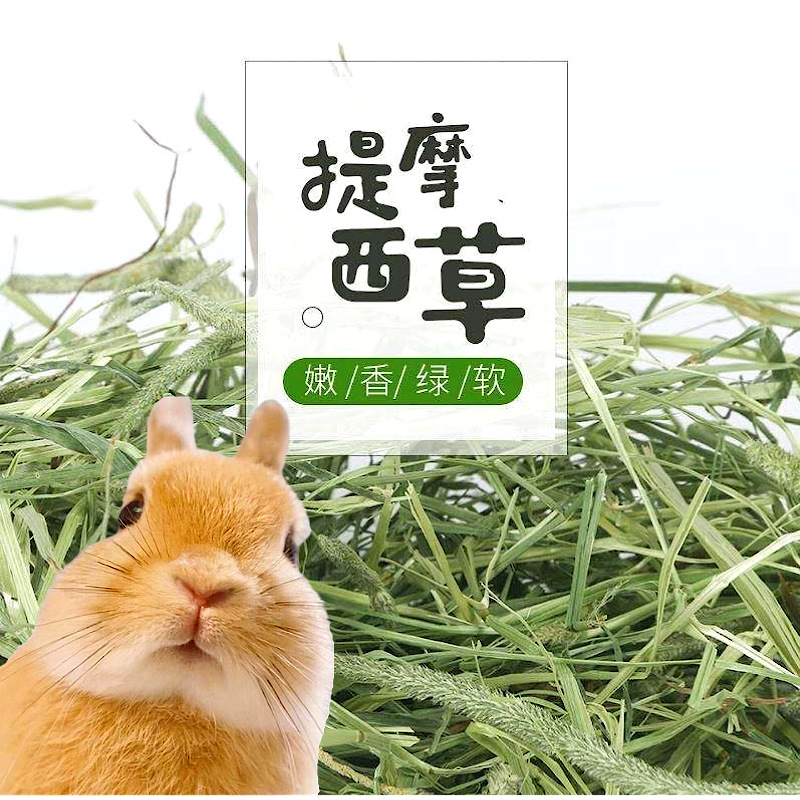 提摩西草兔子草兔粮牧草干草提草龙猫荷兰猪饲料厂家跨境批发热卖