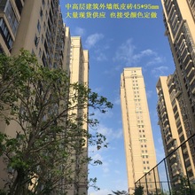 福建产外墙纸皮砖农村自建别墅和中高层住宅外墙通体彩码砖现货多