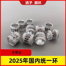 _h2025hCyһhhhِƷþh