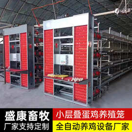 养殖场蛋鸡笼小层叠鸡笼子养鸡料线层叠笼自动喂料线自动捡蛋鸡笼